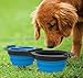 Collapsible Double-Sided Pet Bowl Set by Mindfull Products