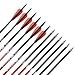 Musen Carbon Arrows 30-Inch Fletching 2.5'' Target Practice Archery Arrows for Recurve or Compound Bow(12 Pack) (Red)