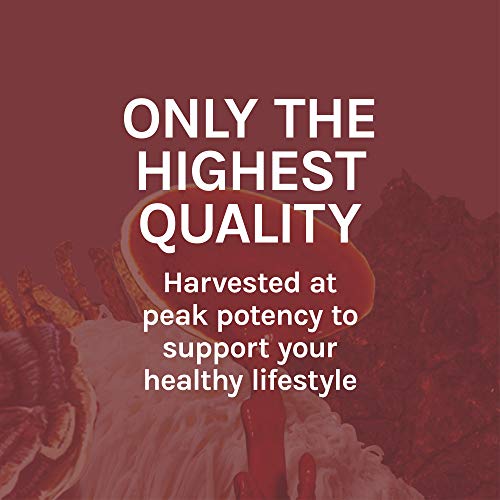Host-Defense-Reishi-Capsules-Supports-General-Wellness-and-Vitality-Daily-Mushroom-Mycelium-Supplement-USDA-Organic-Gluten-Free-60-Vegetarian-Capsules-30-Servings