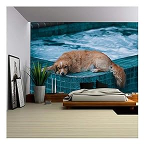 Dog Lying on The Edge of a Bath Pool - Removable Wall Mural | Self-Adhesive Large Wallpaper - 66x96 inches