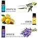 Natrogix Essential Oils 18 Pack 10ml Made in USA 100% Pure Natural Aromatherapy Essential Oil Set Essential Oils for Diffuser Humidifier Massage Hair Skin Care, w/Free E-Book