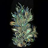 LAY'S Sequins Embroidered Patch Applique Peacock Pteris Cloth Paste Sew Trim for Clothing Jacket Shirt (Green)