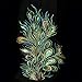 LAY'S Sequins Embroidered Patch Applique Peacock Pteris Cloth Paste Sew Trim for Clothing Jacket Shirt (Green)