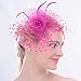 Fascinators Sinamay Hats for Women for Tea Party Kentucky Derby Wedding Cocktail Mesh Feathers Hair Clip Fuschia