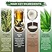 DAILY REMEDY Tea Tree Oil Super Soap, Wash Away Body Odor, Jock Itch, Ringworm, Athlete’s Foot & Skin Irritations - Shower Gel for Women/Men, All Natural Skin Cleanser 2 Pack