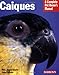Caiques (Complete Pet Owner's Manual) by Mary Gorman