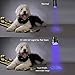 UV Flashlight Black light UV Lights, 711TEK 51 LED Ultraviolet Blacklight Pet Urine Detector For Dog/Cat Urine,Dry Stains,Bed Bug, Matching with Pet Odor Eliminator (uv flashlight)