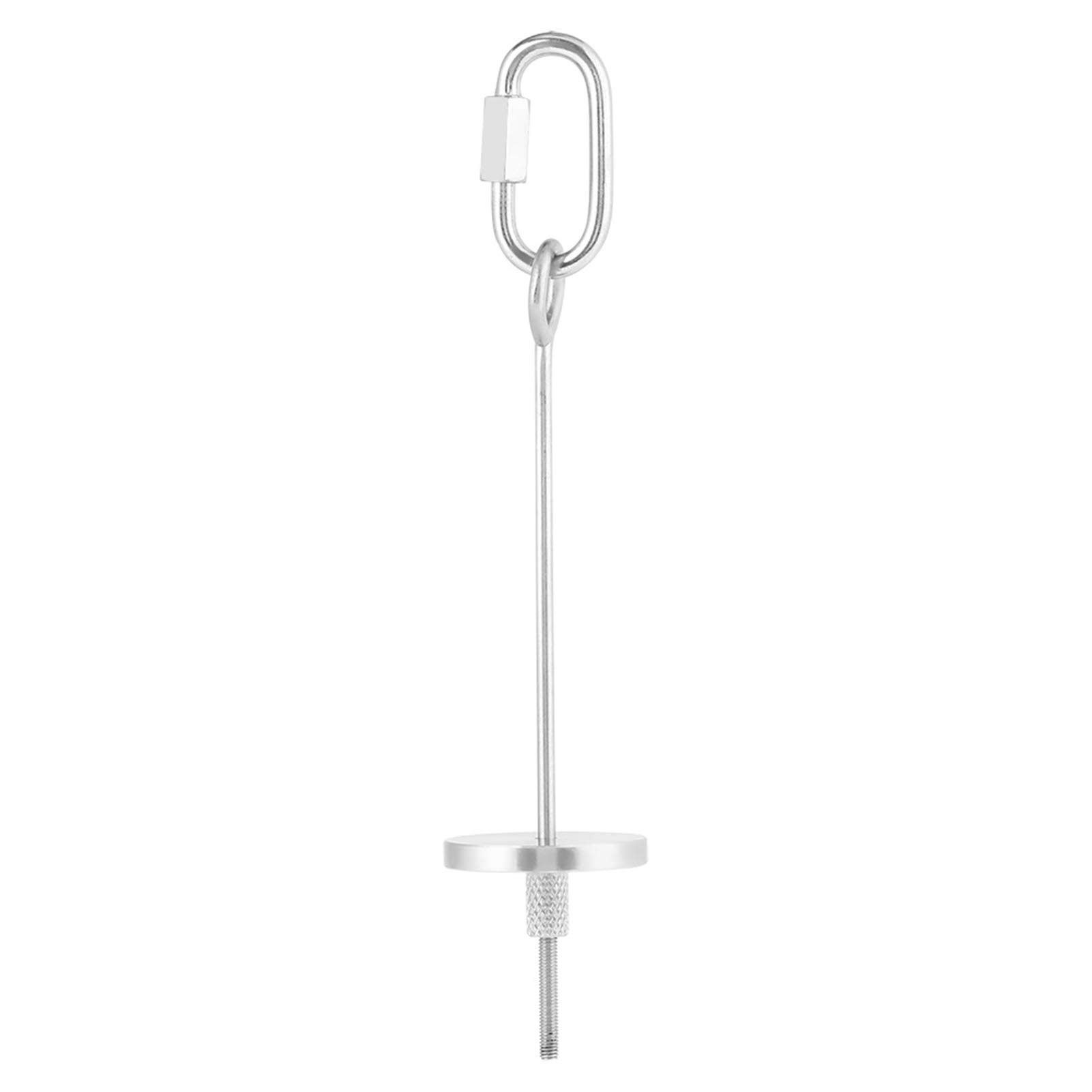 Portable Bird Food Holder,Parrot Fruit Vegetable Stick Holder,Stainless Steel Bird Treat Skewer,Bird Feeders for Hens Birds(L)