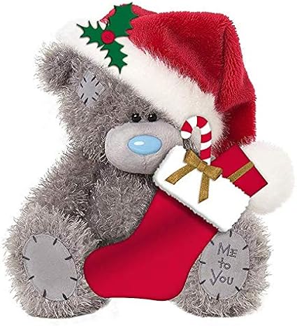 merry christmas me to you bear