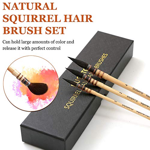 Professional Watercolor Squirrel Hair Paint Brushes by DUGATO, Mop