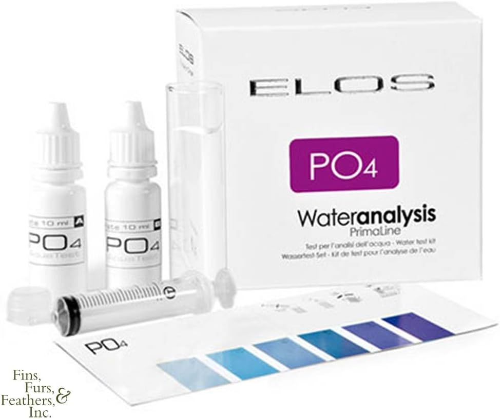 my dog breath smell like fish