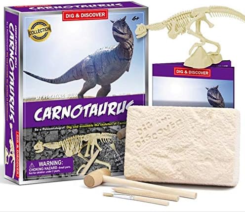 Amazon Com Carnotaurus Excavation Kits For Kids Dig Kits Soil Block Contains 14 Dinosaur Skeleton Parts Dinosaur Fossil Excavation Kits Children S Popular Science Education Toys Dinosaur Diy Excavation Set Toys Games