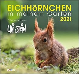 Eichhornchen In Meinem Garten 2021 Monatskalender Fur Die Wand Im Grossformat Amazon De Stein Uli Bucher