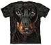Mountain Dachshund Head Adult Size T-shirt , Black , Medium
