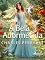 Livro A bela adormecida (Clássicos infantis)