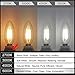 SHINE HAI Candelabra LED Filament Bulbs 40W Equivalent, 2700K Chandelier B11 LED Bulb E12 Base Decorative Candle Light Bulb, Pack of 12