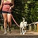 Ruffwear Adjustable Length Dog Lead, Hands Free - Waist Belt for Running, Walking or Hiking, All Sized Breeds, Length: 1.1-1.8 m (3.5-6 ft), Width: 25 mm (1 in), Twilight Grey, Slackline Leash, 40403-025