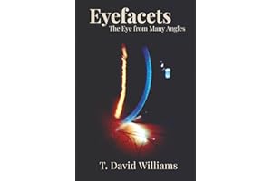 EyeFacets: The Eye from Many Angles