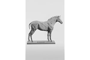 3DTOTAL FIGURE COLLECTION 3dtotal Anatomy: Equine Figure