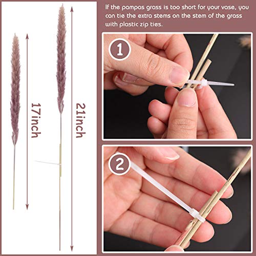 DomeStar 36PCS Pampas Grass, Natural Dried Pampas Reed Grass Plume Wedding Flower Bunch