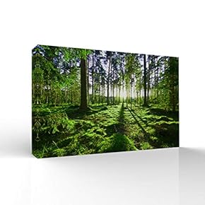 Canvas Wall Art-Sunshine in The Forest -Canvas Prints Home Artwork Decoration for Living Room,Bedroom - 16x24 inches