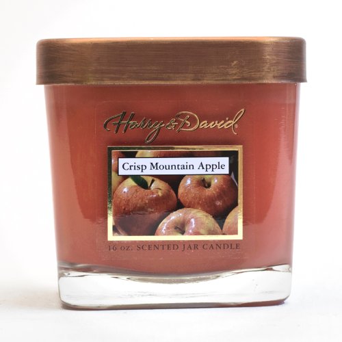 Harry and David 16-Ounce Jar Candle, Large, Crisp Mountain Apple