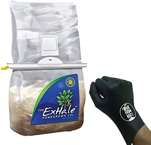 ExHale Homegrown CO2 with Hanger and THCiTY Gloves