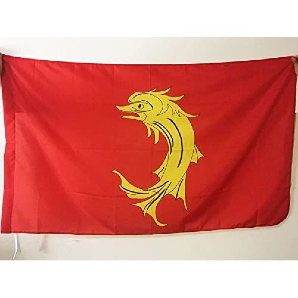 AZ FLAG - Loire Flag - 2x3 Ft - French department Banner with Sleeve - 100% Polyester - Fade Resistant - Vivid Colors - 2' x 3' Feet - 90x60 Cm