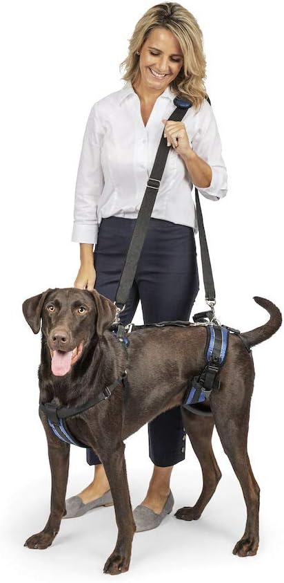 Dog Lifting Aid - Mobility Harness - Large Size : Pet Halter Harnesses : Pet Supplies