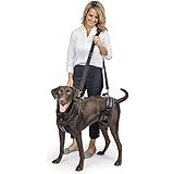 Amazon Com Coodeo Dog Lift Harness Support Recovery Sling Pet Rehabilitation Lifts Vest Adjustable Breathable Straps For Old Disabled Joint Injuries Arthritis Paralysis Dogs Walk Large Kitchen Dining