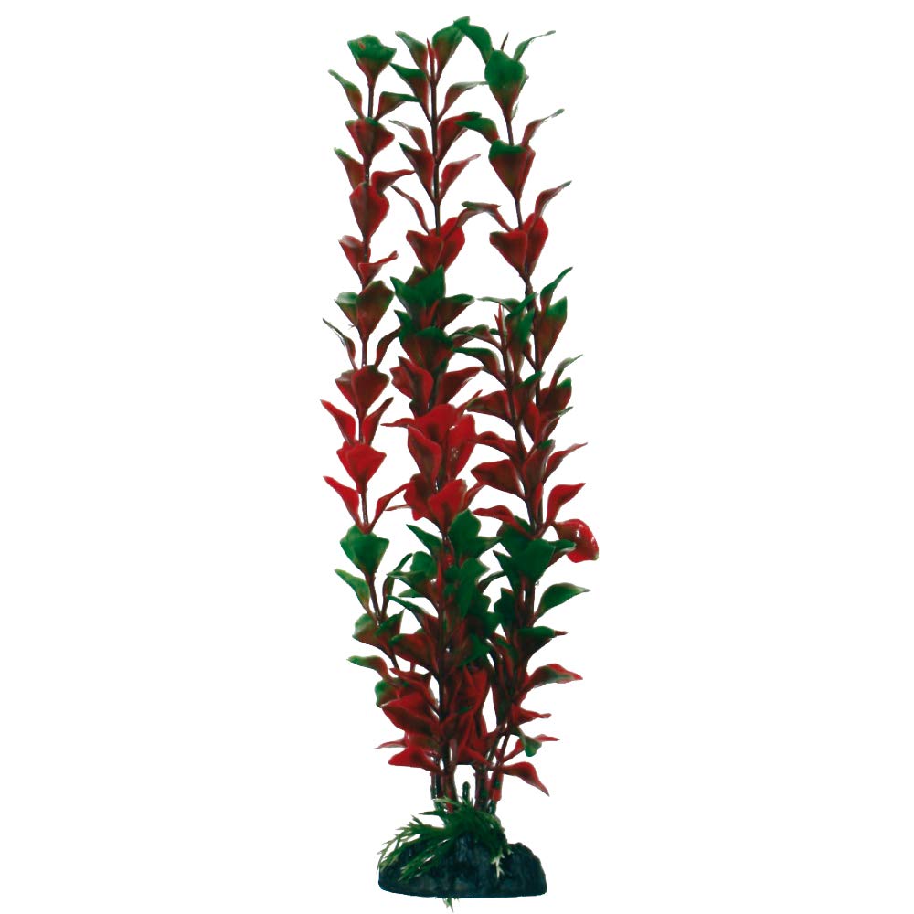 WAVE Ludwigia Palustris Plant Classic, X-Large