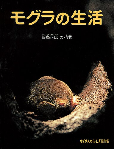 モグラの生活 たくさんのふしぎ傑作集 飯島 正広 飯島 正広 本 通販 Amazon