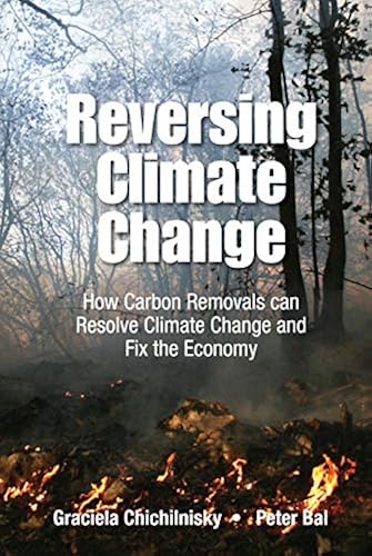 Download Reversing Climate Change: How Carbon Removals Can Resolve Climate Change and Fix the Economy PDF