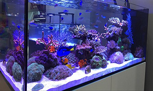 Zeiger Eco Full Spectrum Aquarium led Light 60 inch - 72 inch 150cm-170cm LED Tank Saltwater and Freshwater Lighting Aquarium lamp for Plant Reptile (60 inch 41W) - Thumbnail 7