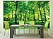 GREAT ART Poster – Summer Trees – Picture Decoration Nature Landscape Forest Glade Sunbeams Plants Flora Ferns Relaxation Sapling Spa Image Photo Decor Wall Mural (55x39.4in - 140x100cm)