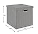 Perber Collapsible Storage Cubes Bins 13.5