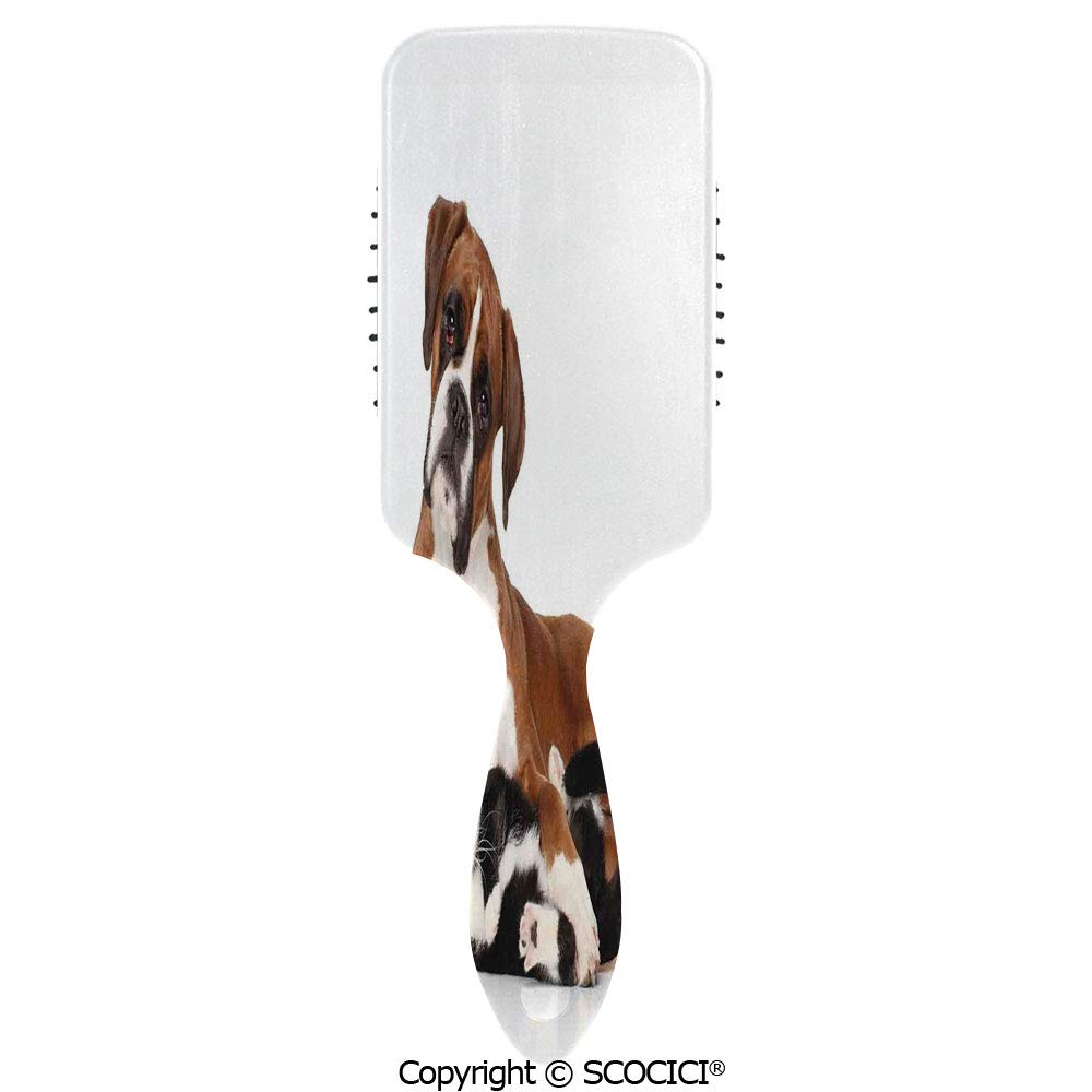 Buy Massage Combs Premium Air Cushion Massage Scalp For Healthy