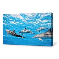 Canvas Wall Art Lovely Dolphin Canvas Prints Home Artwork Decoration for Living Room,Bedroom - 12x18 inches