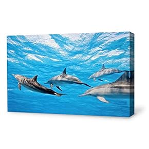 Canvas Wall Art Lovely Dolphin Canvas Prints Home Artwork Decoration for Living Room,Bedroom - 12x18 inches