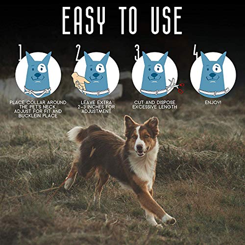 image for CRUZYO Dog Flea and Tick Control Collar - Treatment and Prevention for