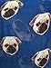 GERINLY Animal Print Scarves: Cute Dogs Pattern Voile Oblong Scarf (Blue)