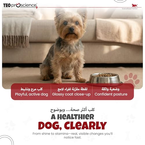 Teo Premium Proscience Mini Adult Dog Food 2KG Salmon & Blueberry, Hair, Skin & Coat Care, 75% Animal Protein, Hypoallergenic, Omega-Rich Formula 32% Protein 15% Fat