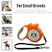REXBETI Retractable Dog Leash, 16 Feet Extendable Leash with Lights For Small Dogs - Easy Grip, Lock & Release Mechanism, Build-in LED Flashlight