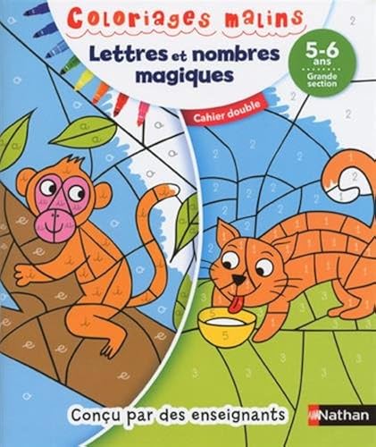 Download Lettres et nombres magiques : Grande section PDF