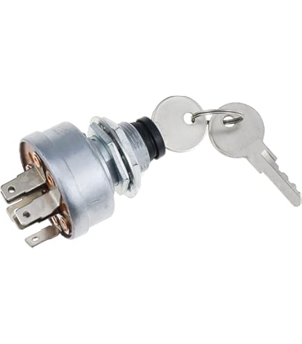 HOLDWELL Ignition Switch W/ 2 Keys 4477373 Compatible with