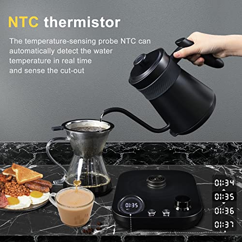 Davivy Gooseneck Electric Kettle,Gooseneck Tea Kettle Electric,Pour