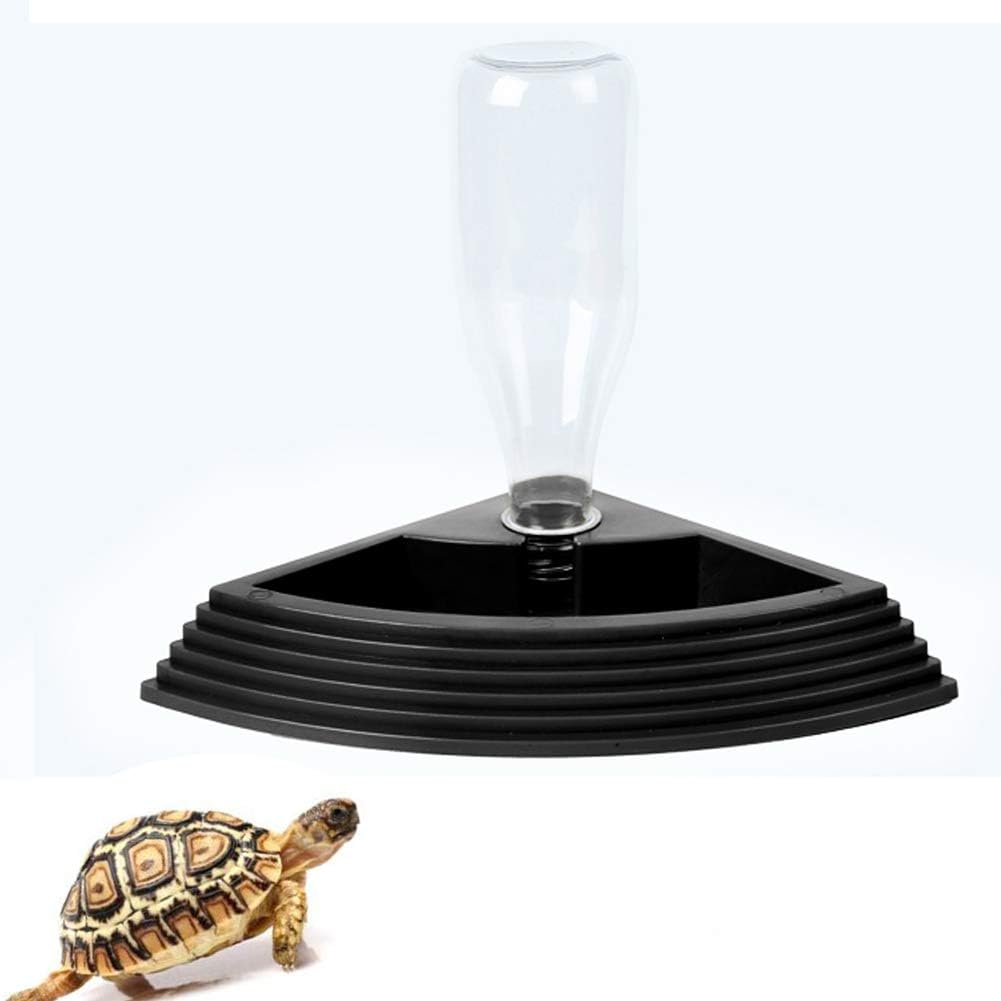 automatic tortoise feeder