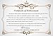 Fidus Ultra Light Mini Compact Travel Umbrella – Windproof Portable Parasol Sun & Rain Outdoor Golf Umbrella with 95% UV Protection for Women Men Kids-Creamy White