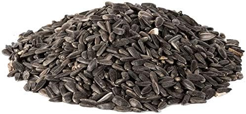 Extra Select Black Sunflower Seed Wild Bird Food, 2 kg, 2 kg (Pack of 1) - Image 3