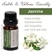 100% Pure Undiluted Essential Oils Set - Top 6 Florals